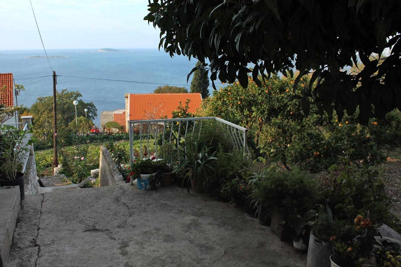Apartments With A Parking Space Plat, Dubrovnik - 4776 Млини Екстериор снимка